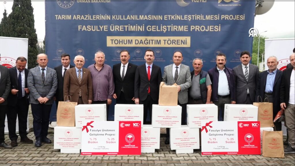 Trabzon'da 3 Ton Fasulye Tohumu 700 Dekara Ekilecek