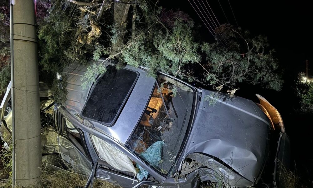 izmir kemalpaşa trafik kazası