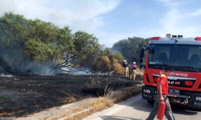 İzmir'de Bir Günde Beş Yangın Kontrol Altına Alındı