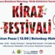 Kiraz Festivali