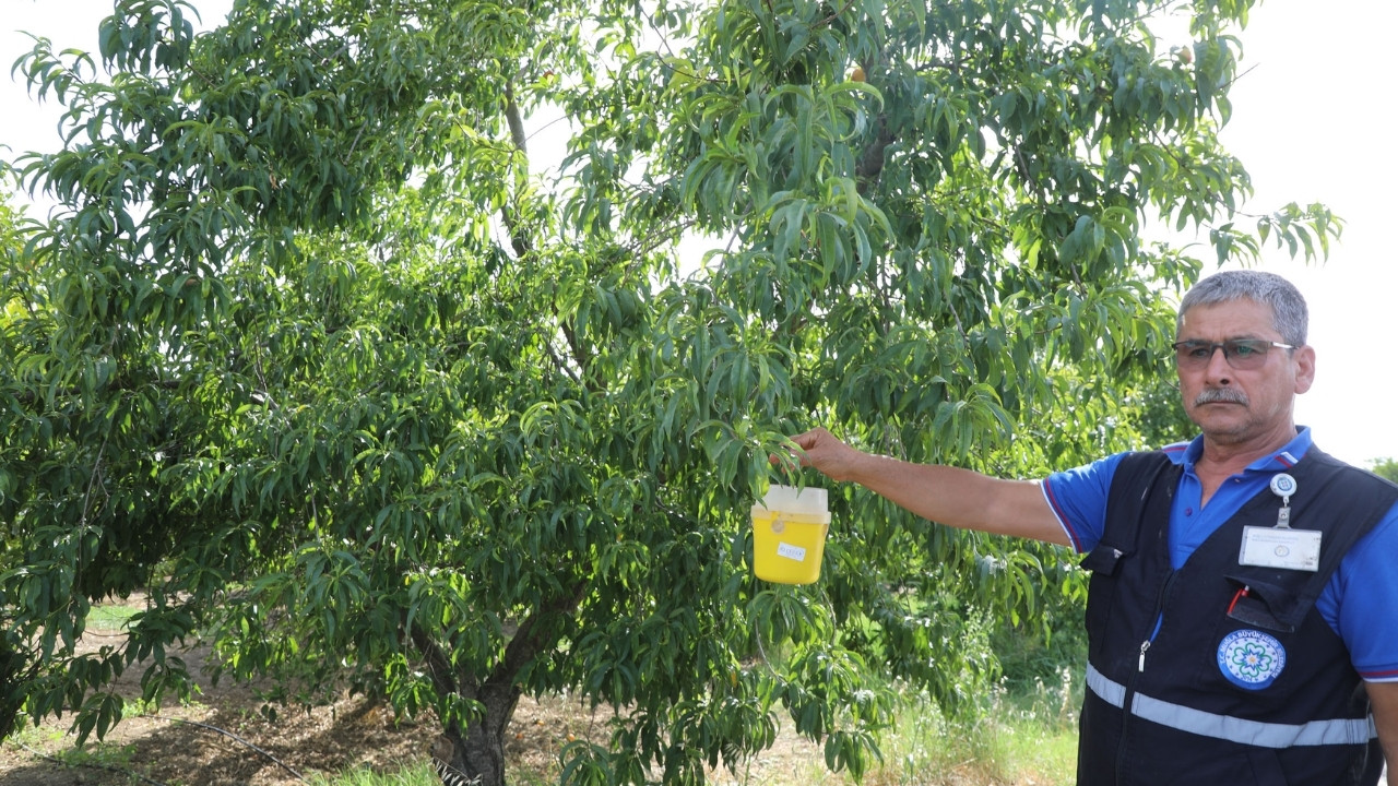 Narenciye İhracatına Muğla Büyükşehir Desteği