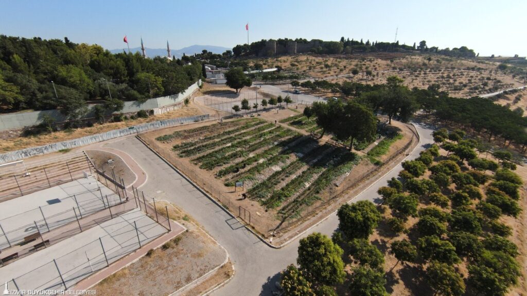 izmir kadifekale Mahalle bostanı